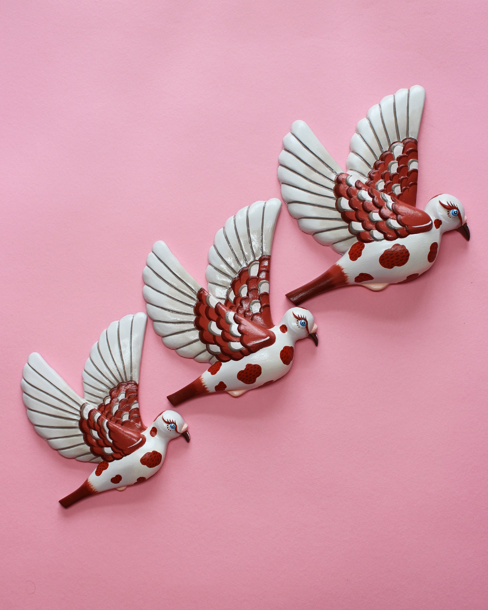 MADE TO ORDER Brown & White Flying Wall Pigeons