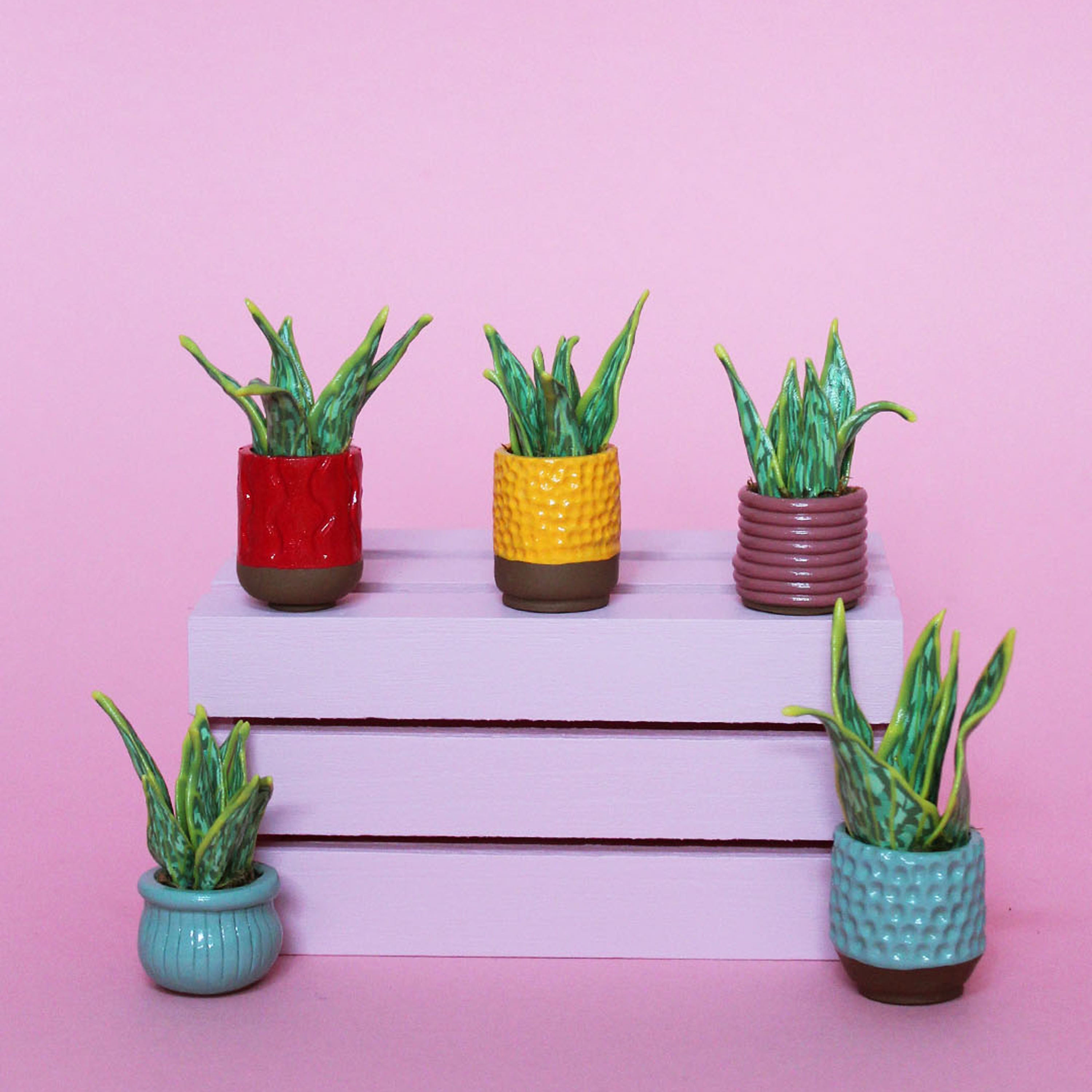 Miniature Plant