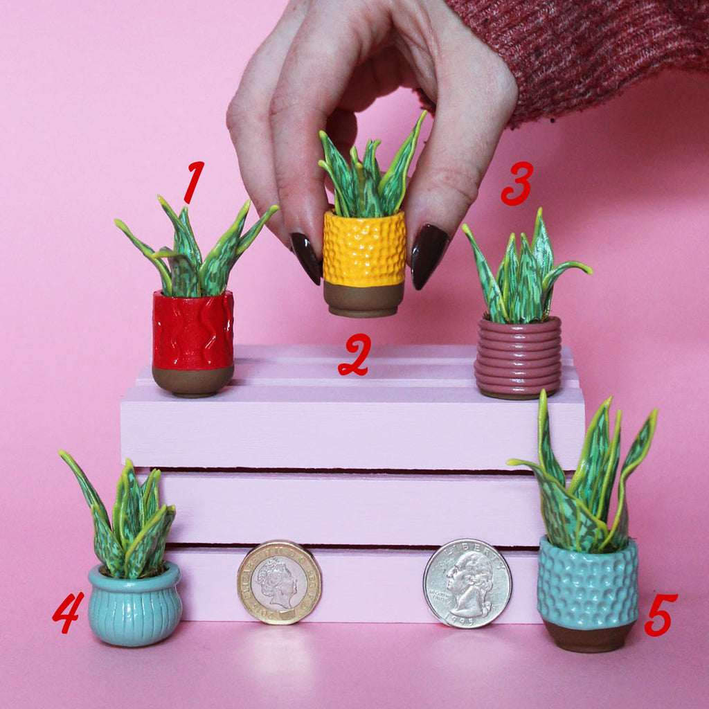 Miniature Plant
