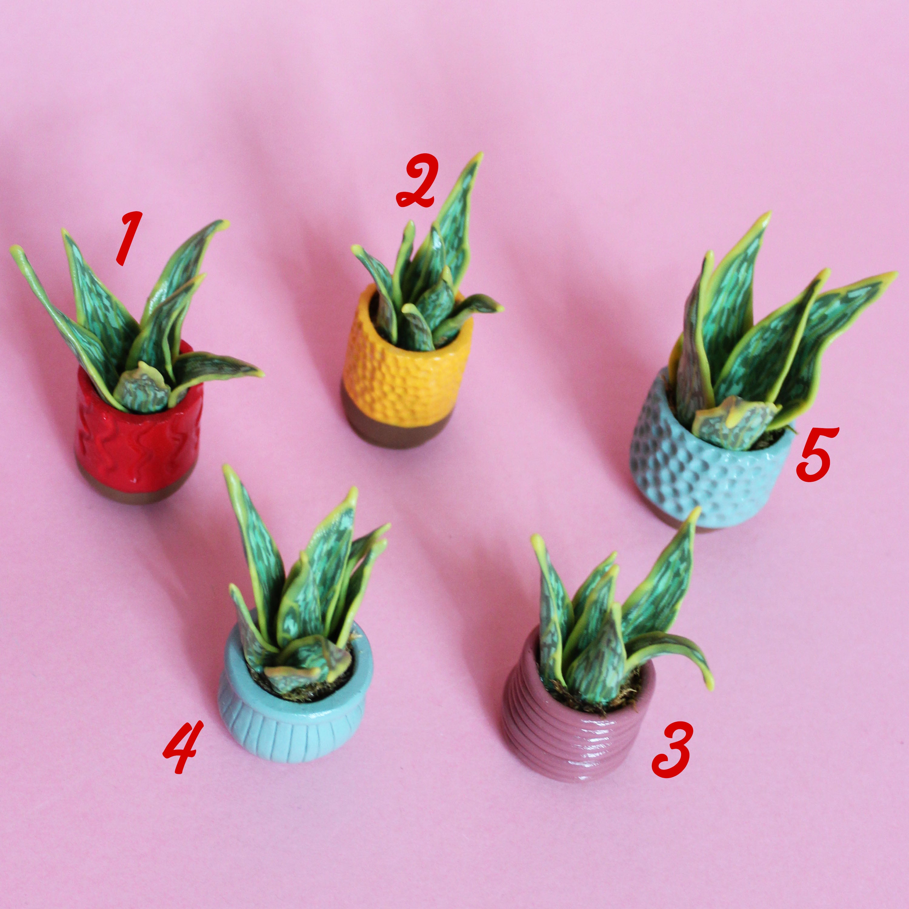 Miniature Plant