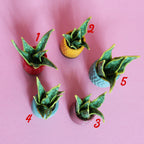 Miniature Plant