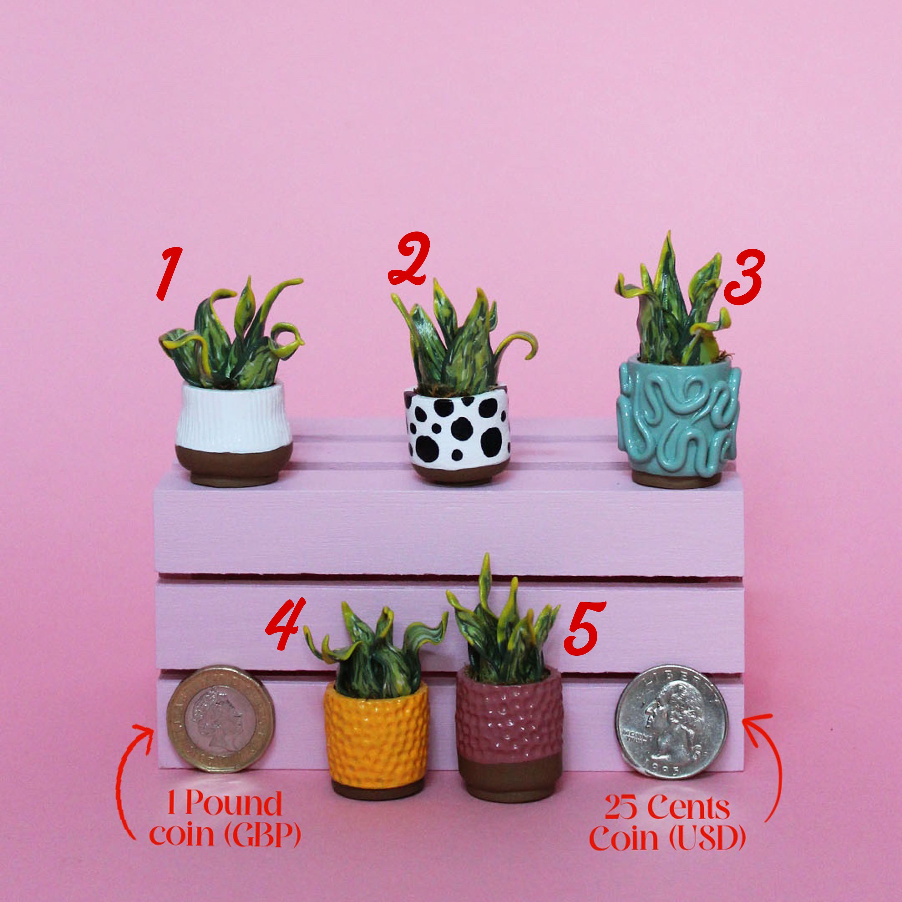 Miniature Plant
