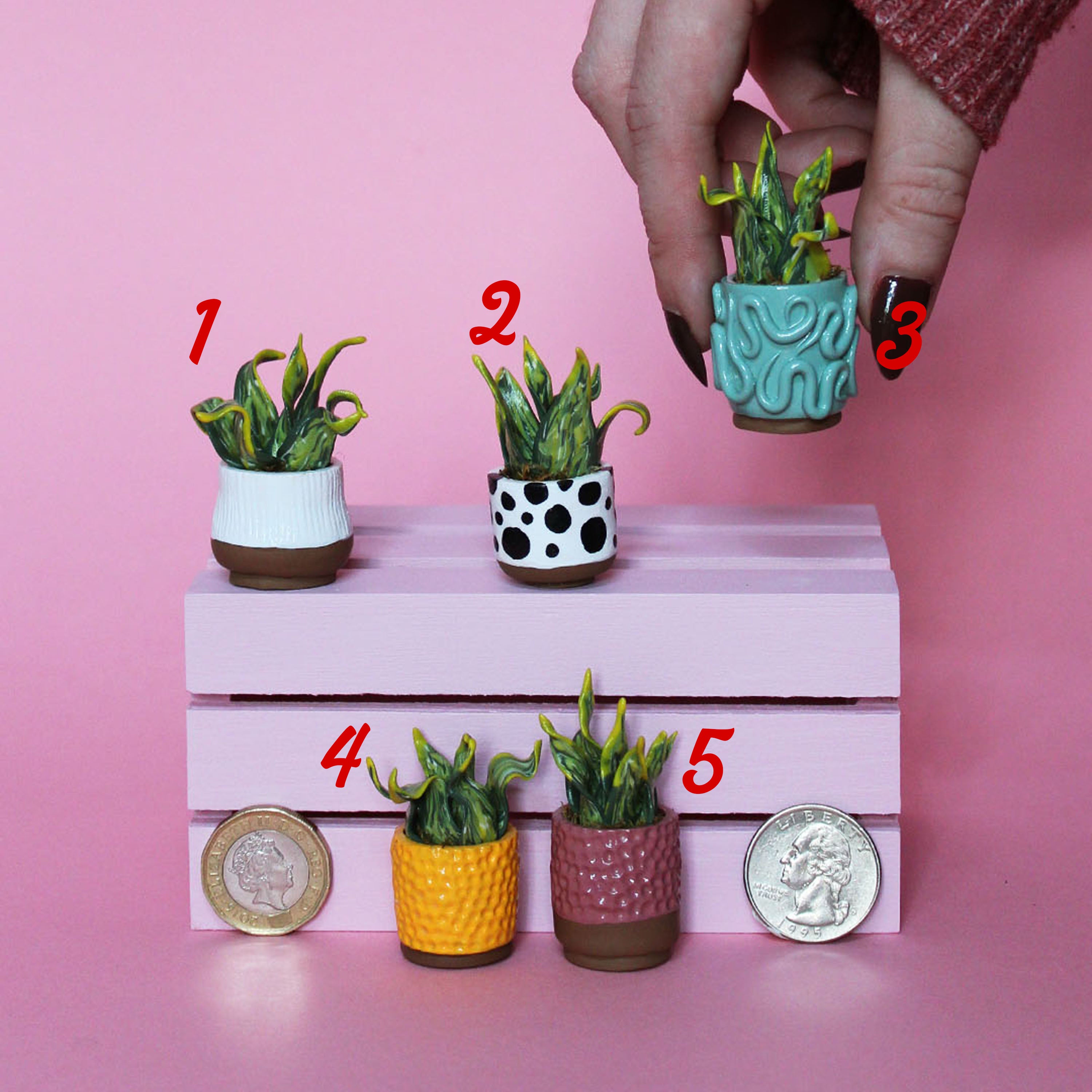 Miniature Plant