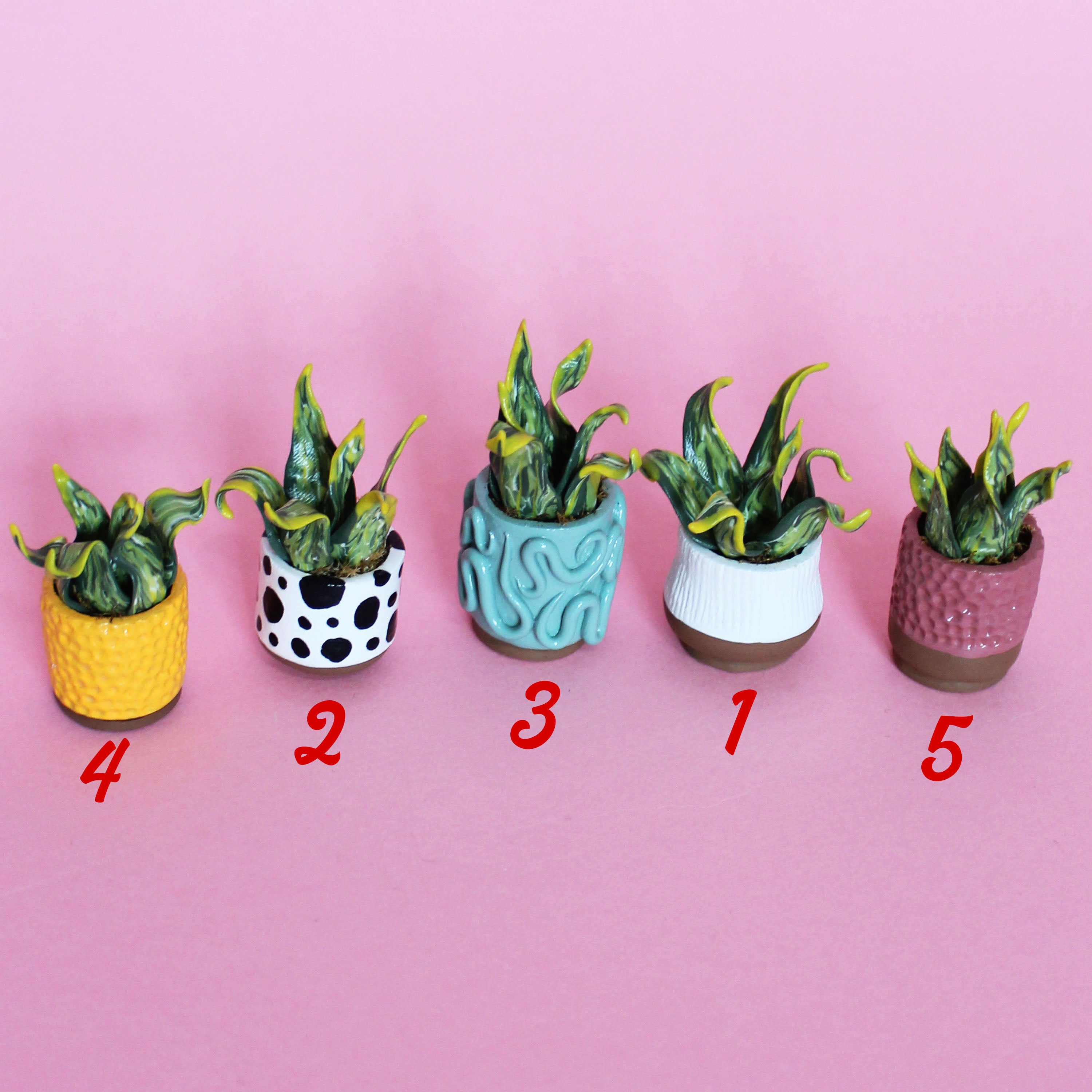 Miniature Plant