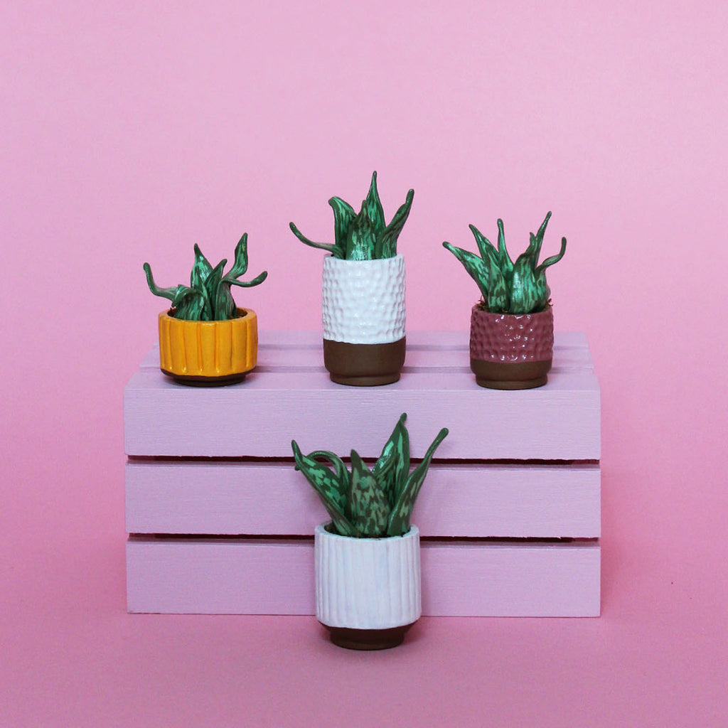 Miniature Plant