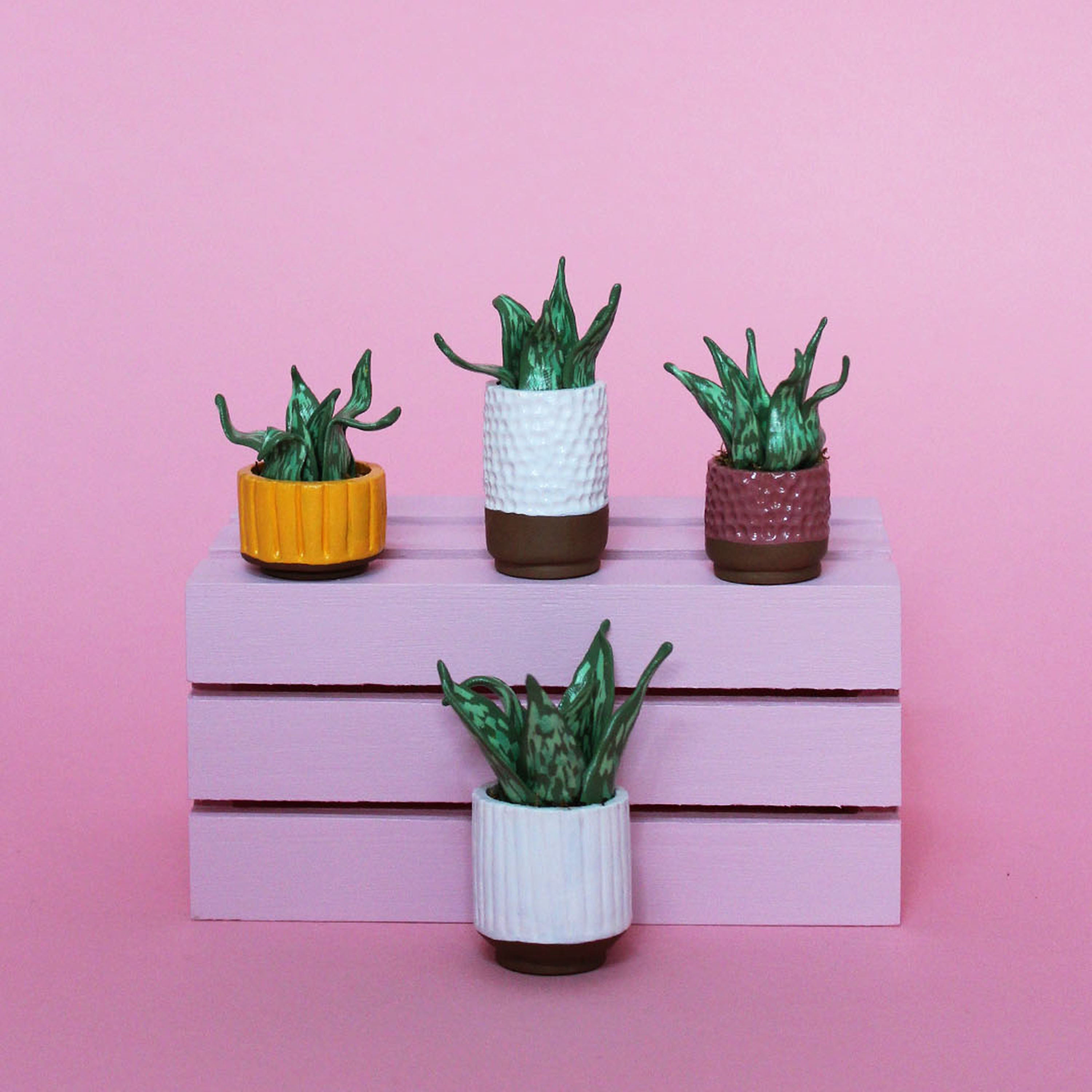 Miniature Plant