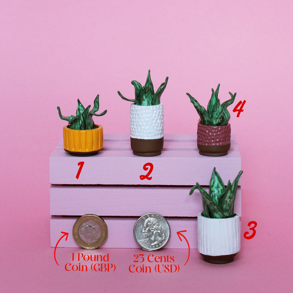 Miniature Plant