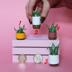 Miniature Plant