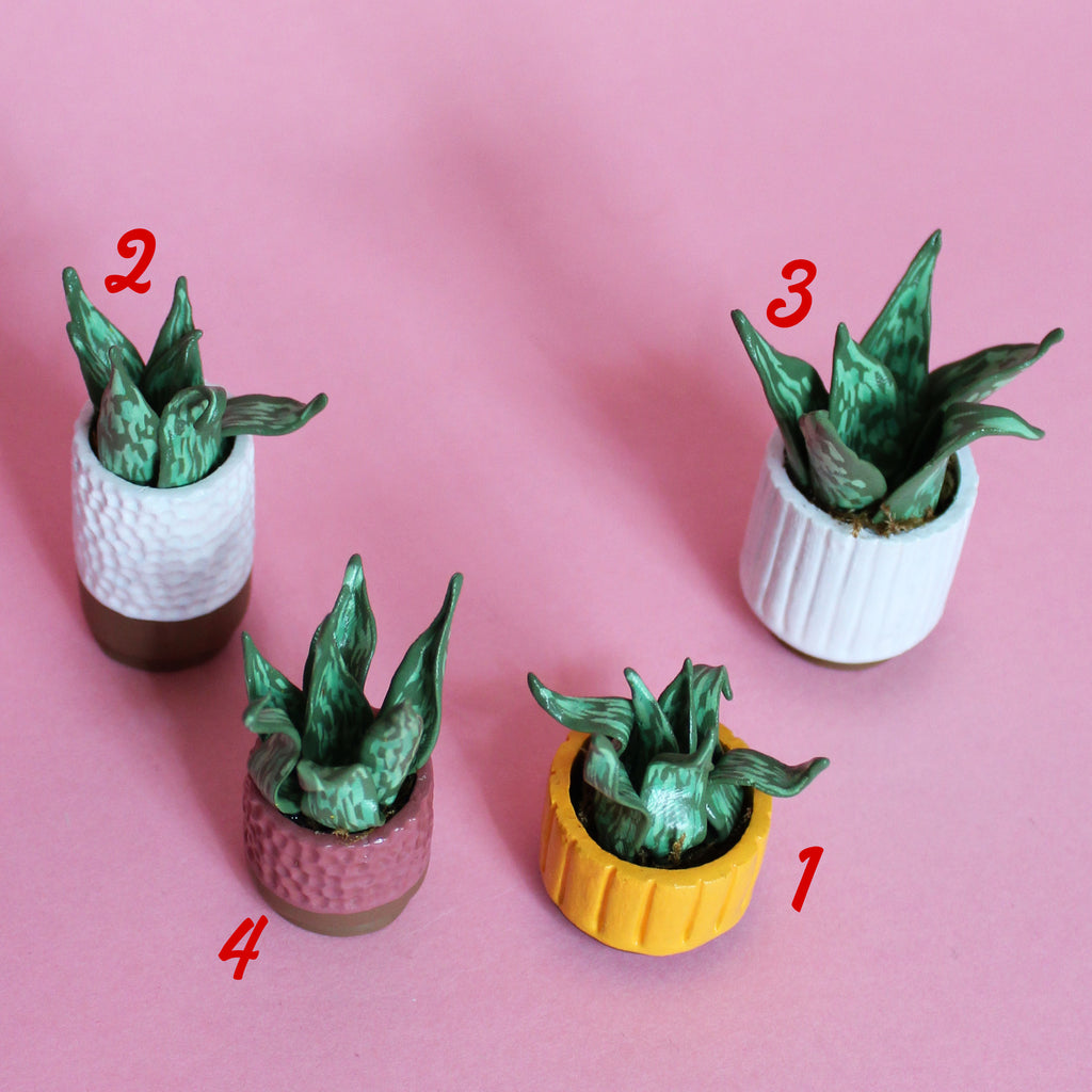 Miniature Plant