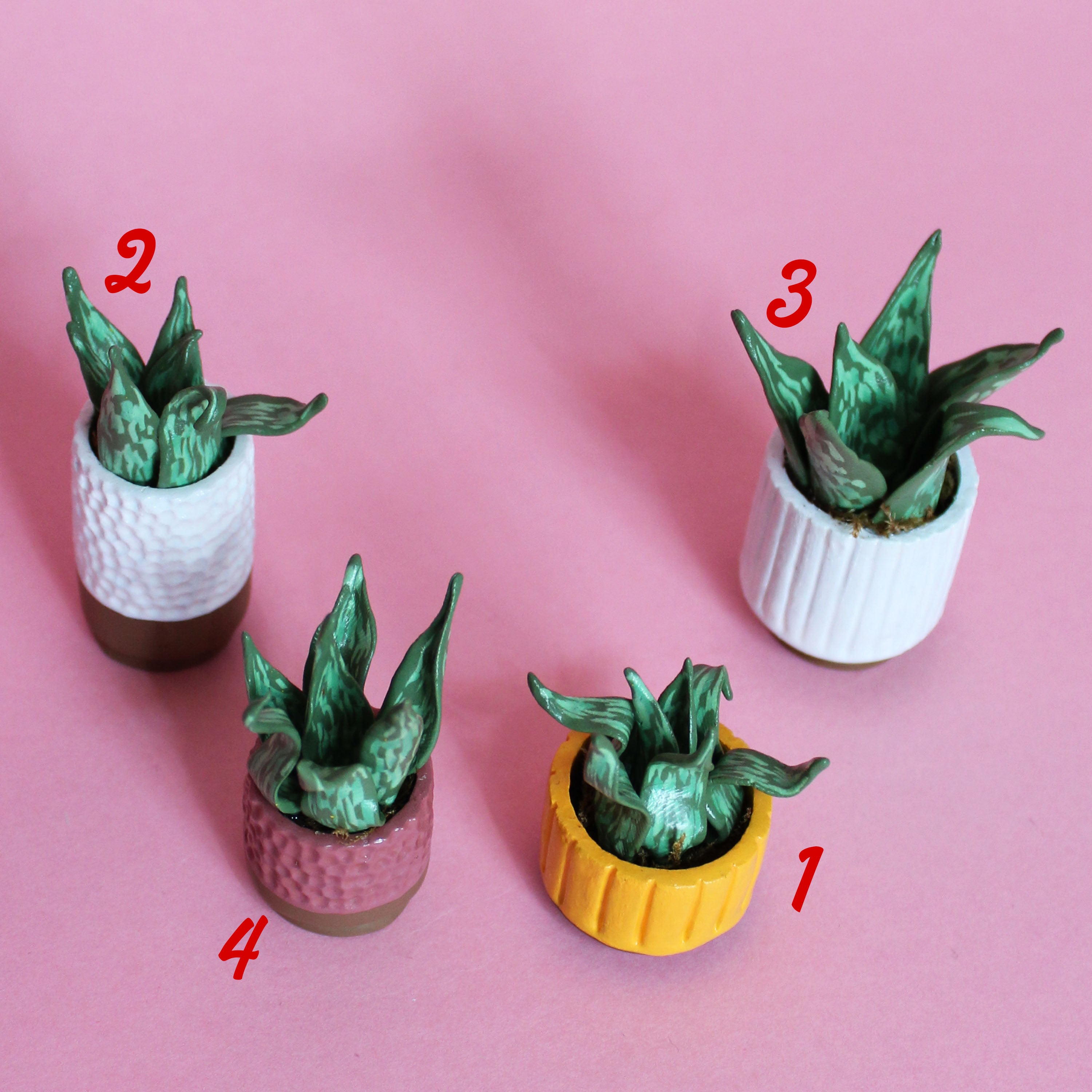 Miniature Plant