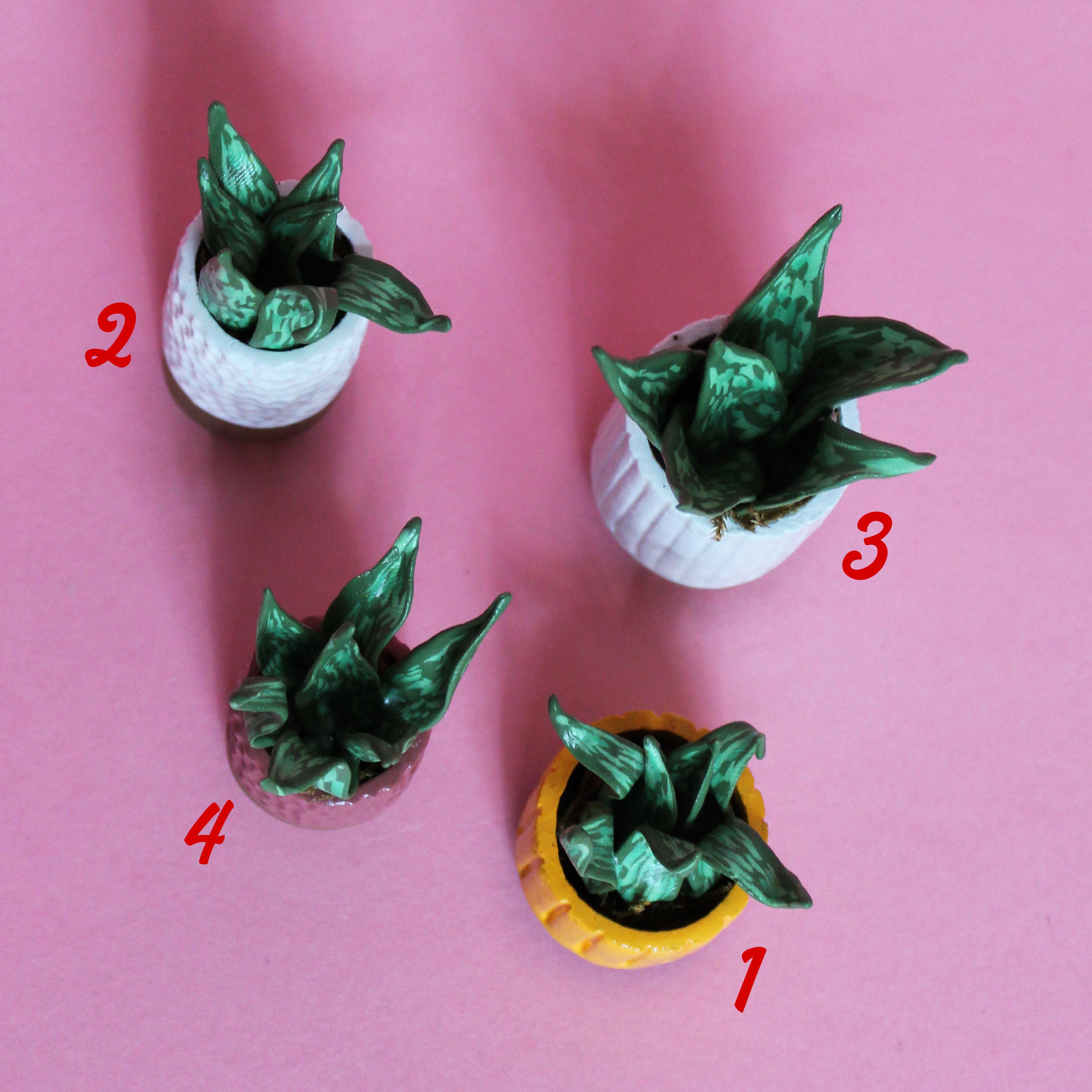 Miniature Plant