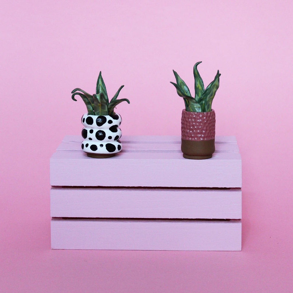Miniature Plant