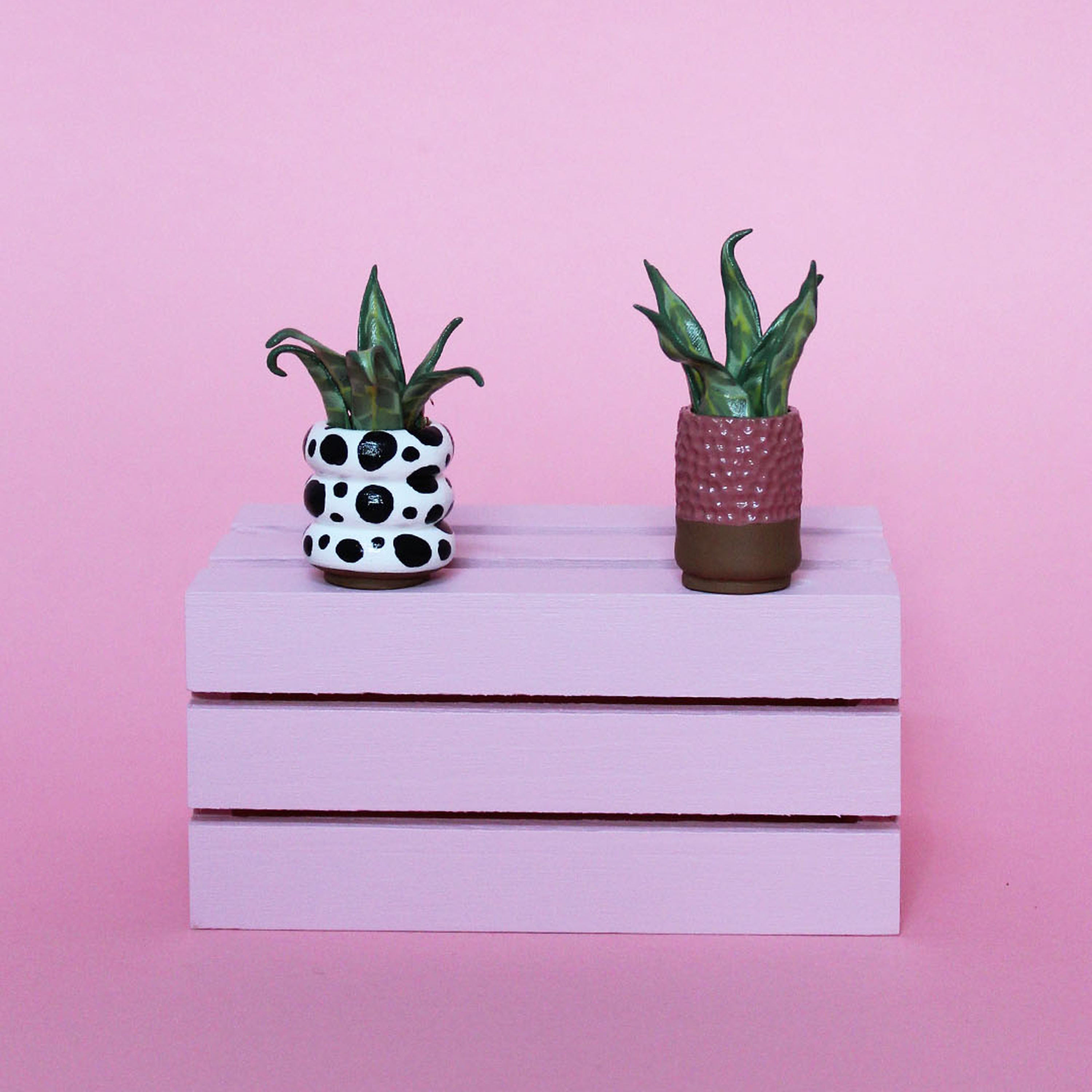 Miniature Plant