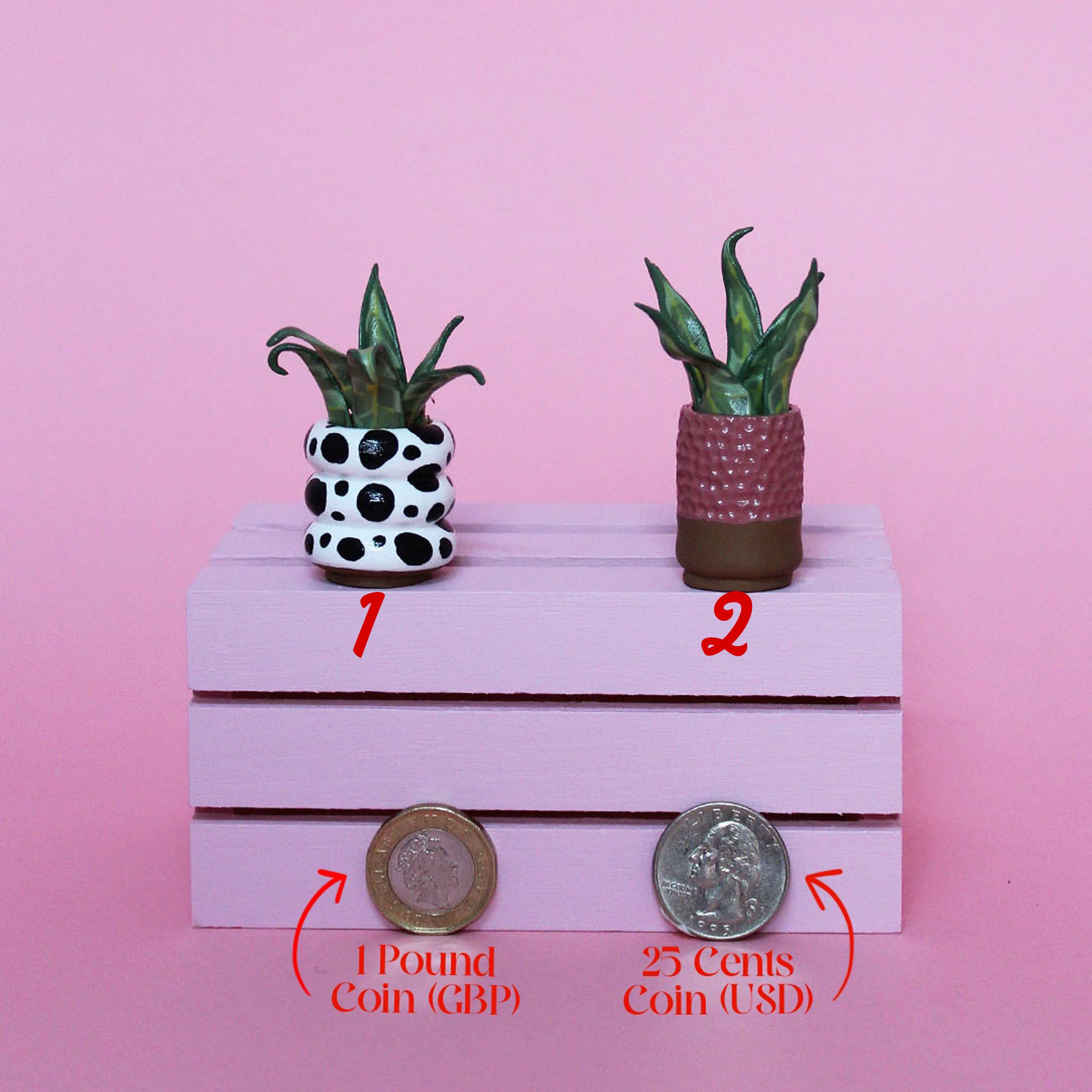 Miniature Plant