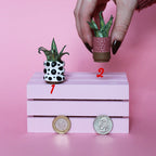 Miniature Plant