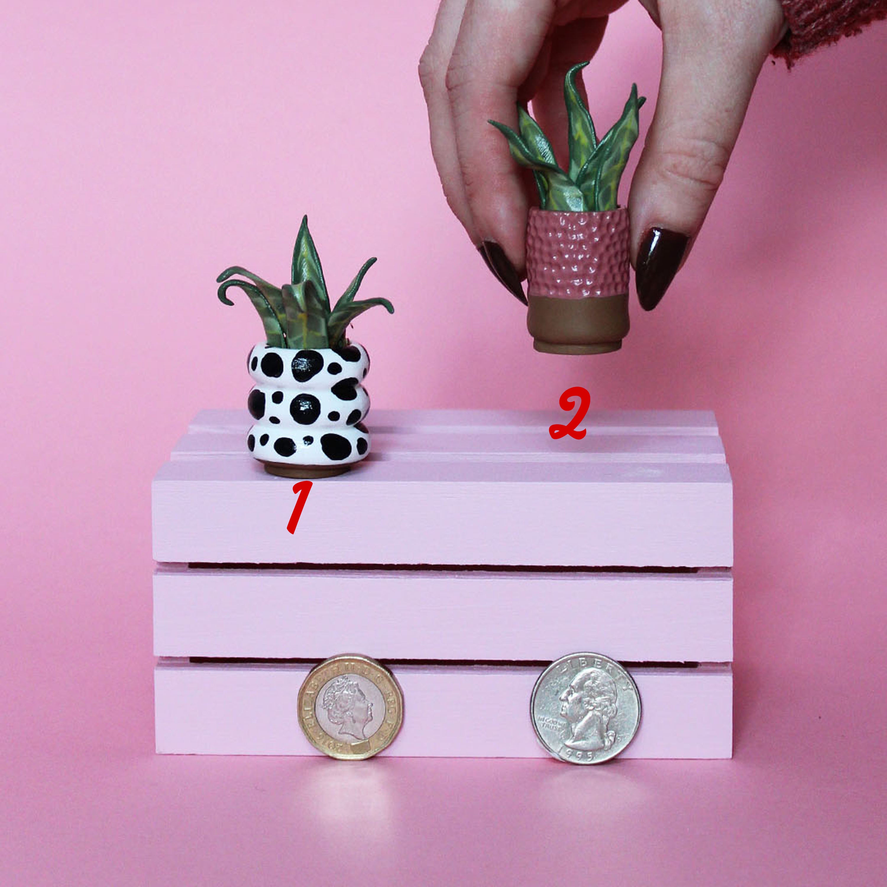 Miniature Plant