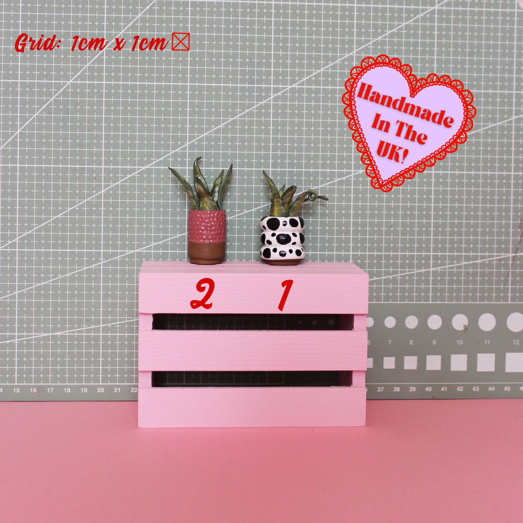 Miniature Plant