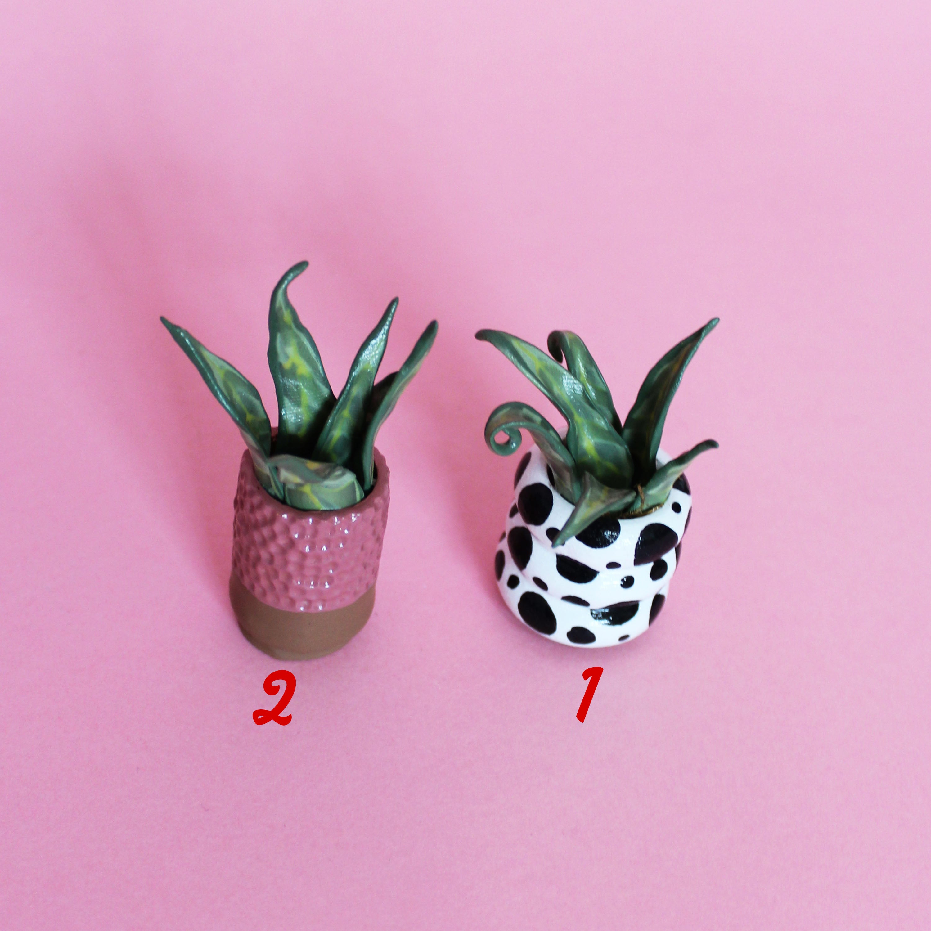 Miniature Plant