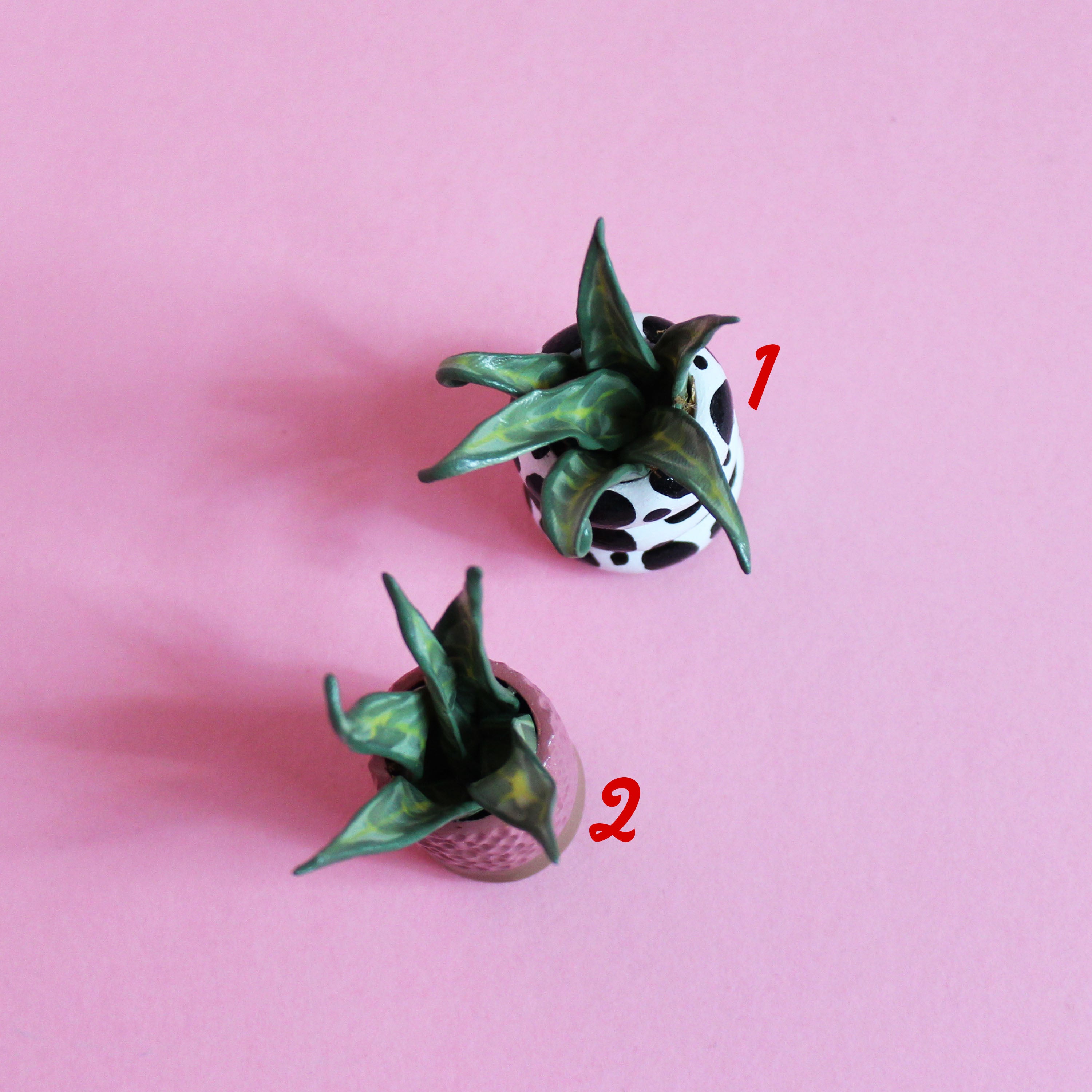 Miniature Plant