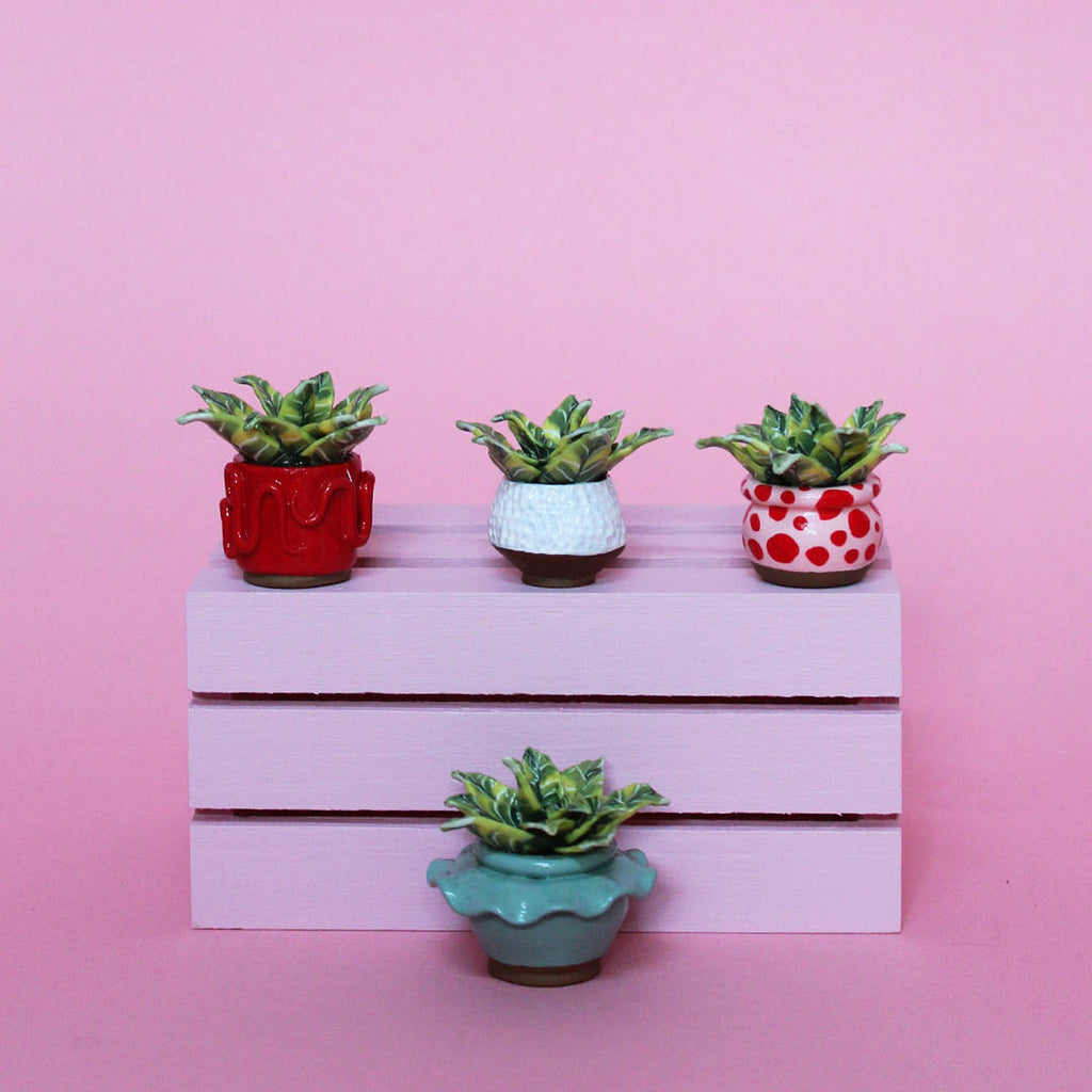 Miniature Plant