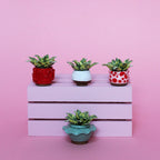 Miniature Plant