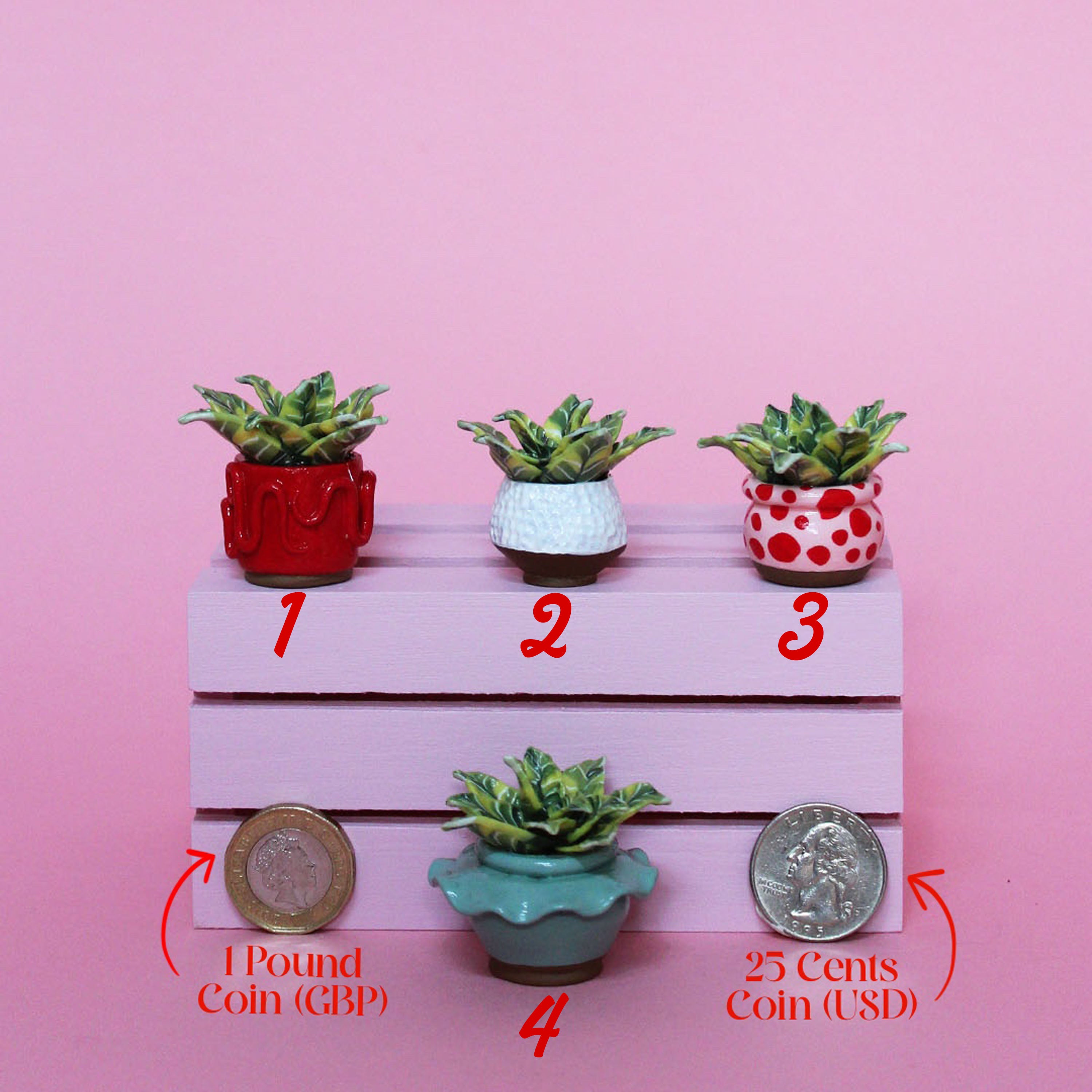 Miniature Plant