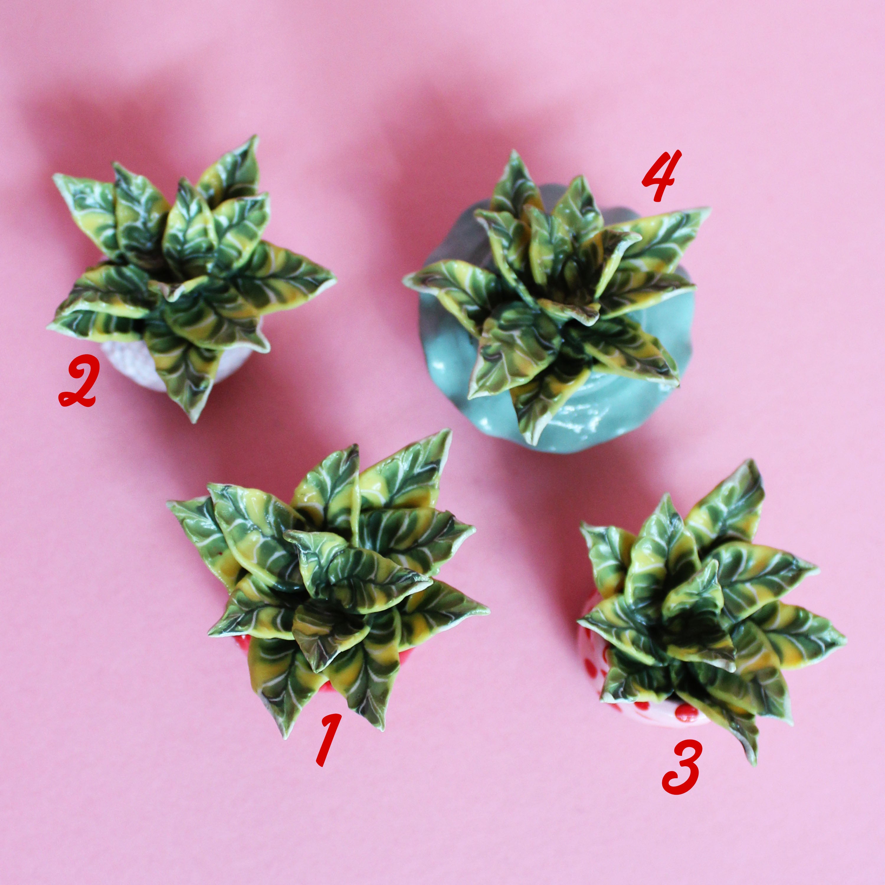 Miniature Plant