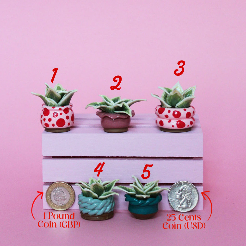 Miniature Plant