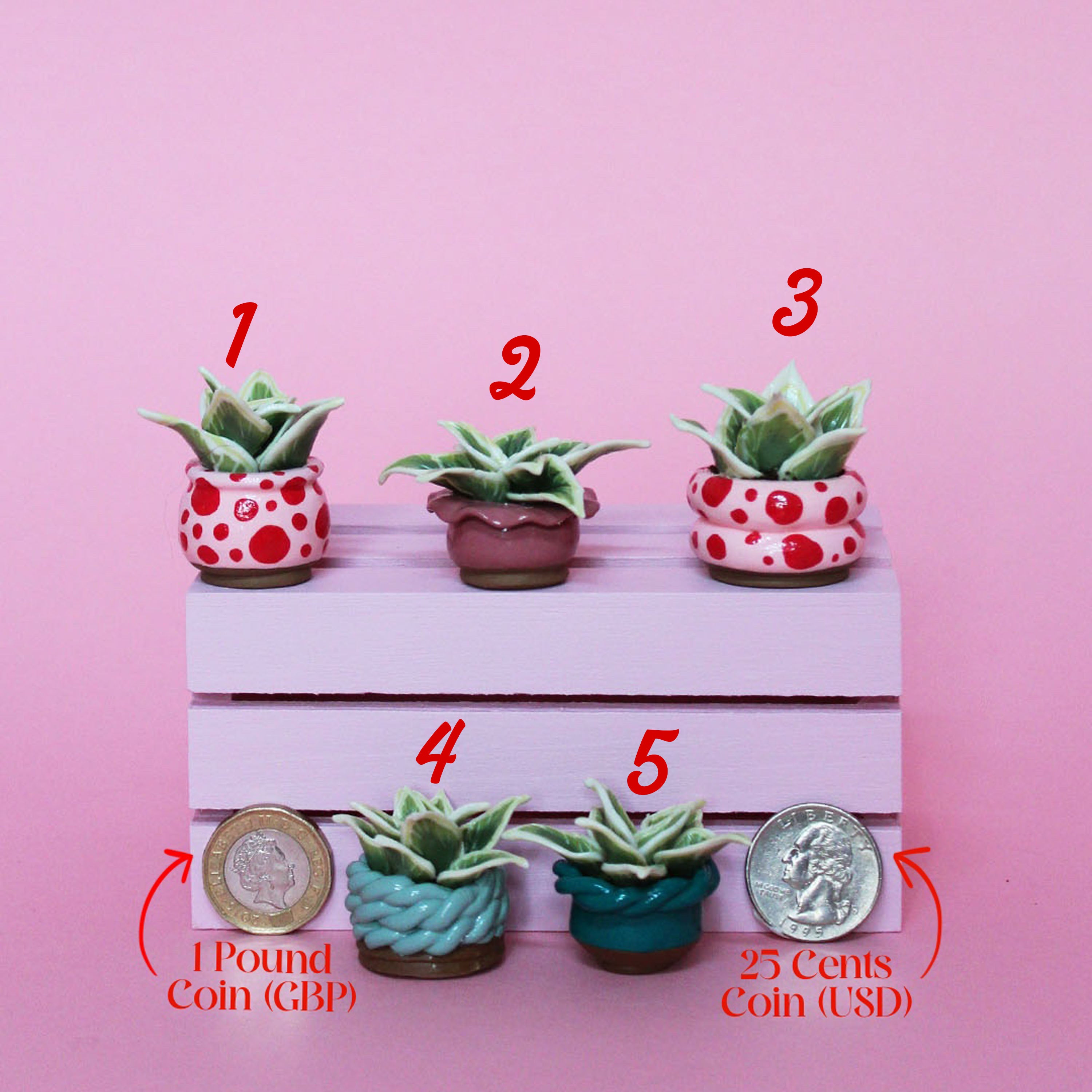 Miniature Plant