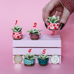 Miniature Plant