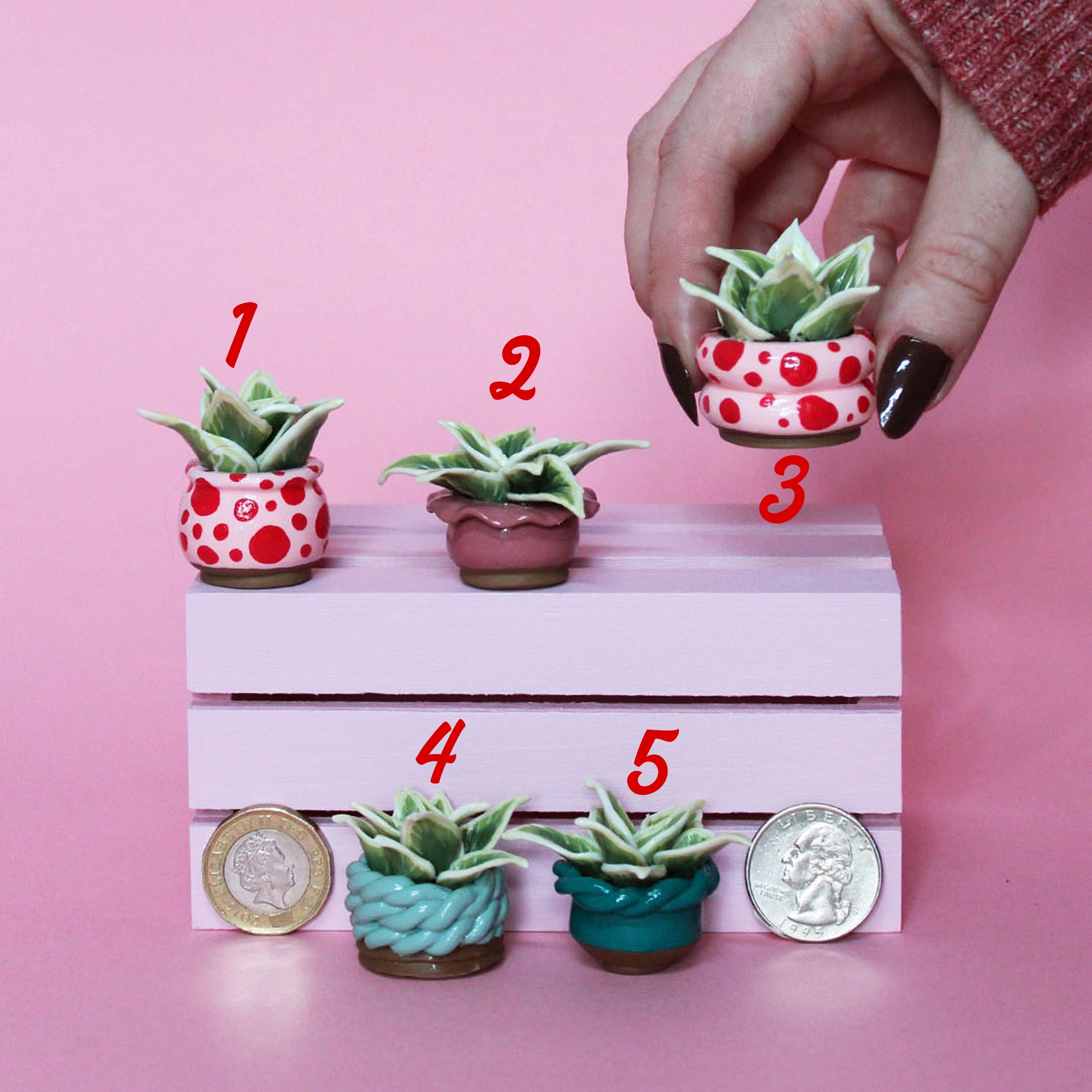 Miniature Plant