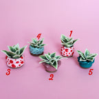 Miniature Plant