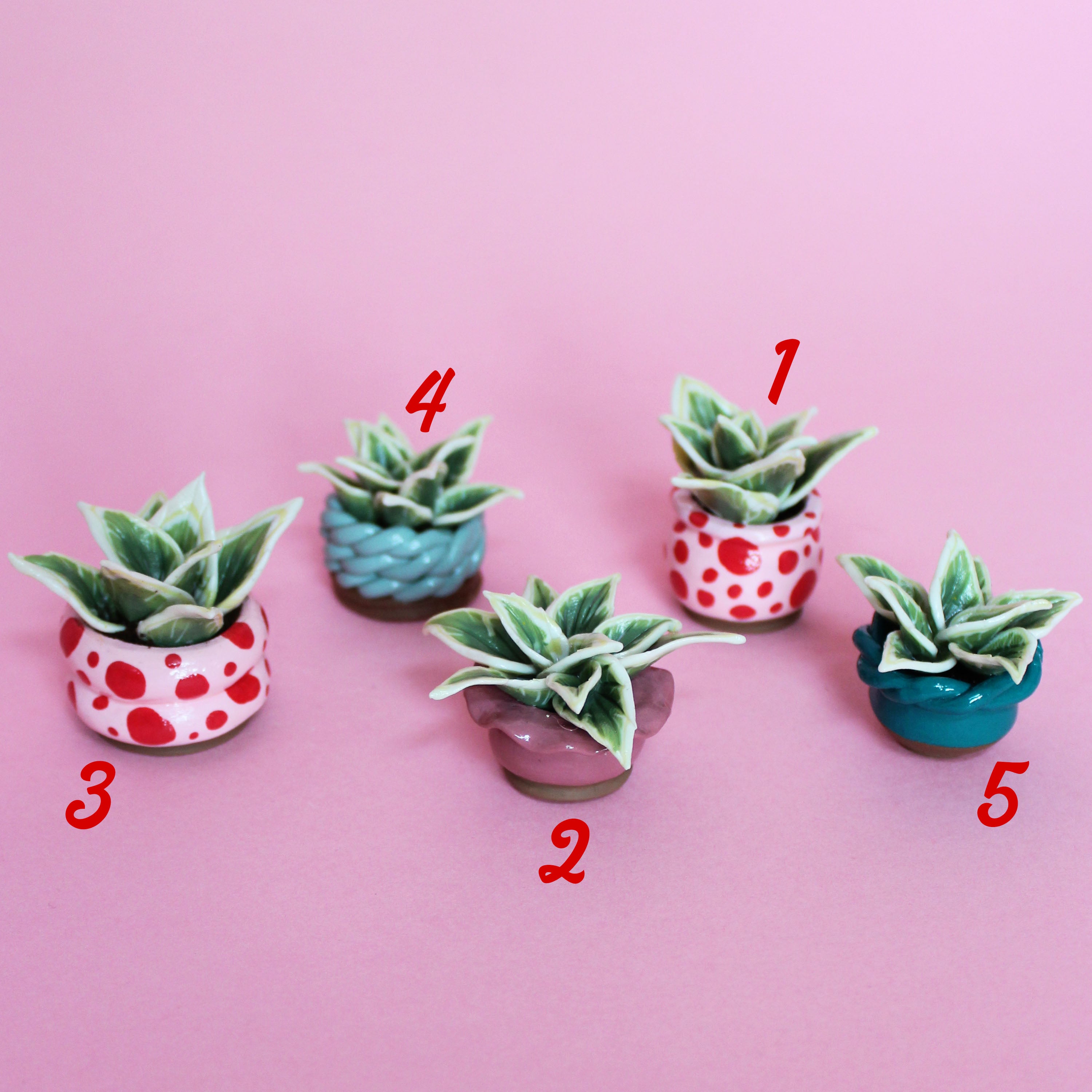 Miniature Plant