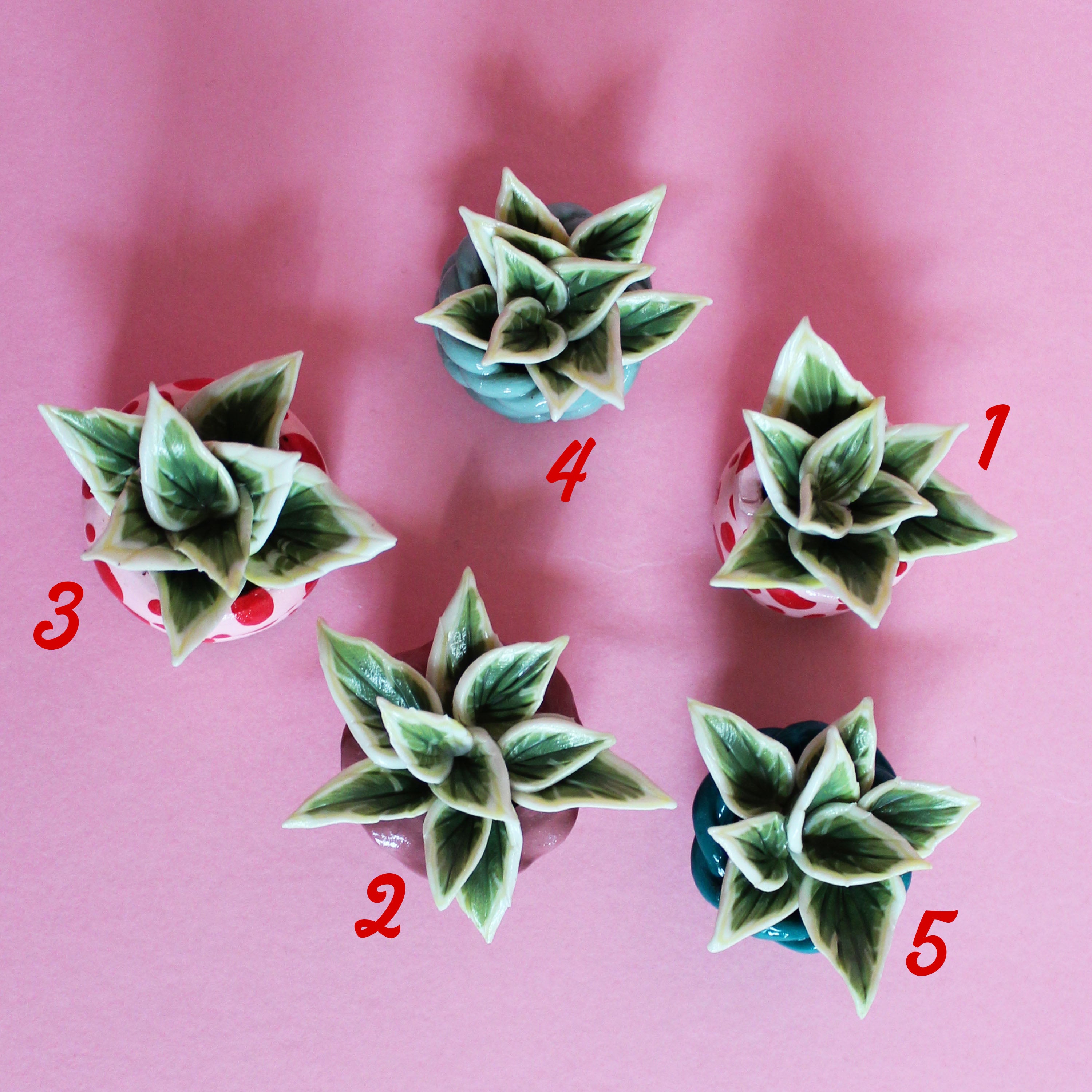 Miniature Plant