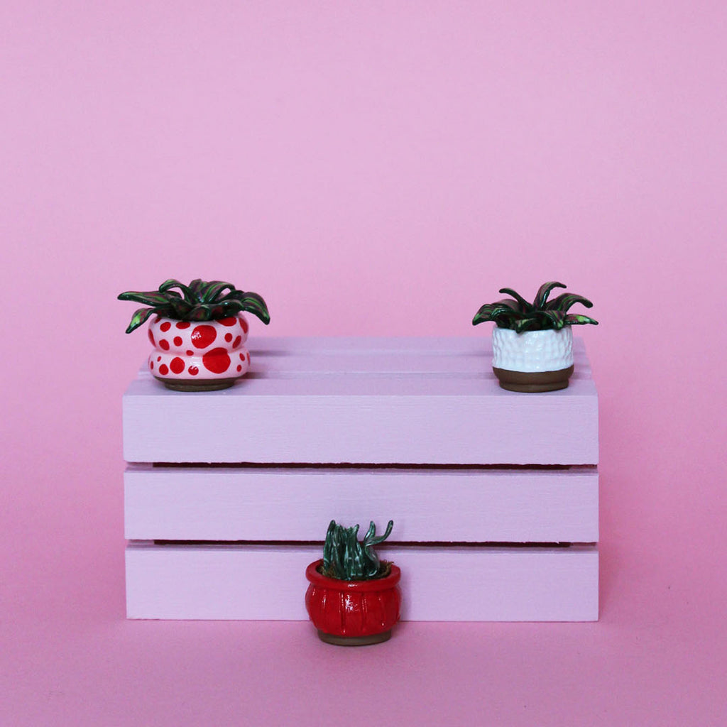 Miniature Plant