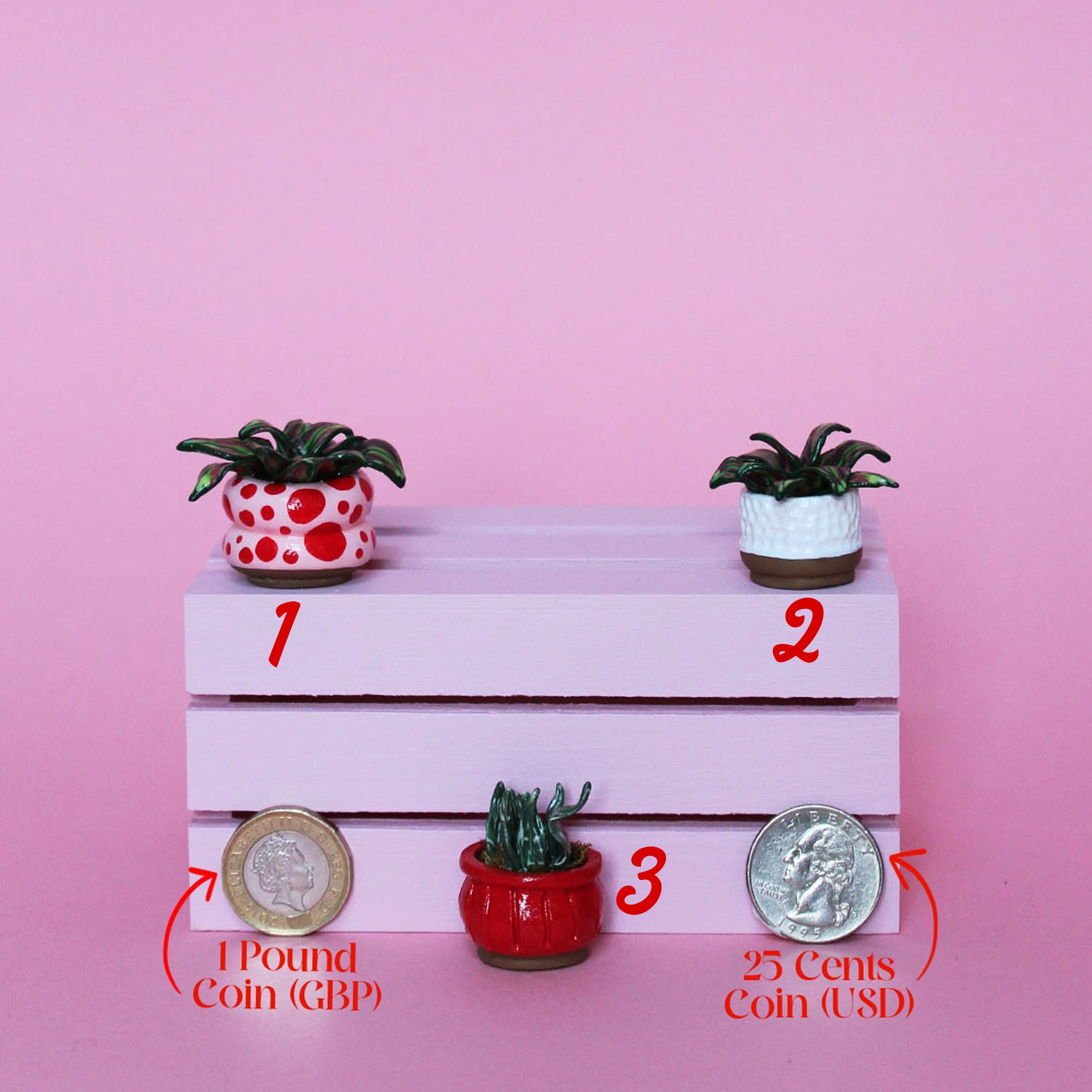 Miniature Plant