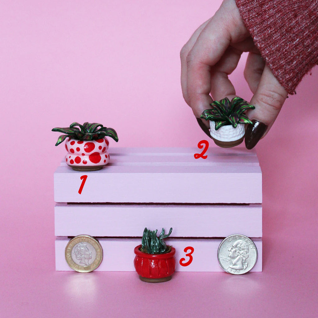 Miniature Plant