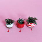 Miniature Plant