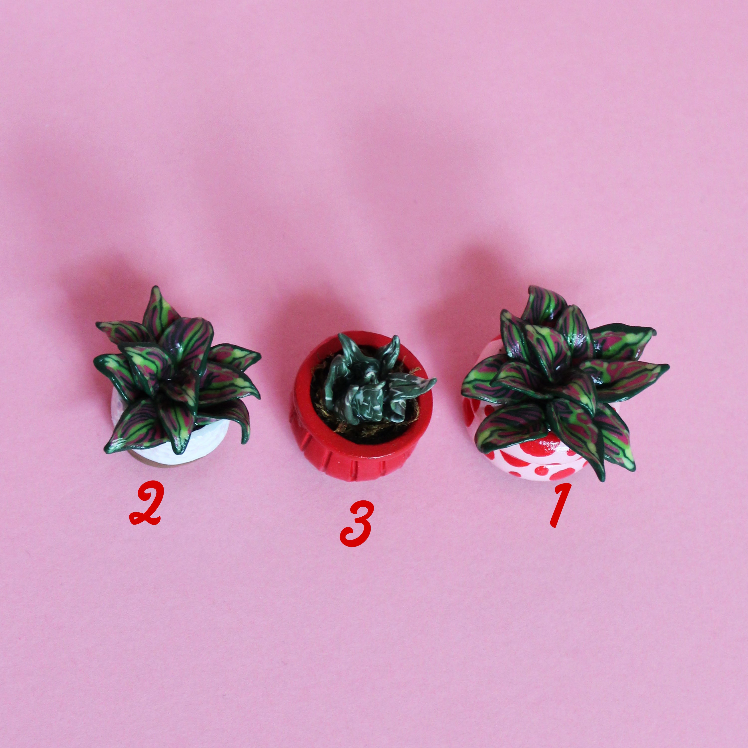 Miniature Plant