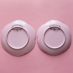 Pair of Hand Painted Pigeon Wall Plates