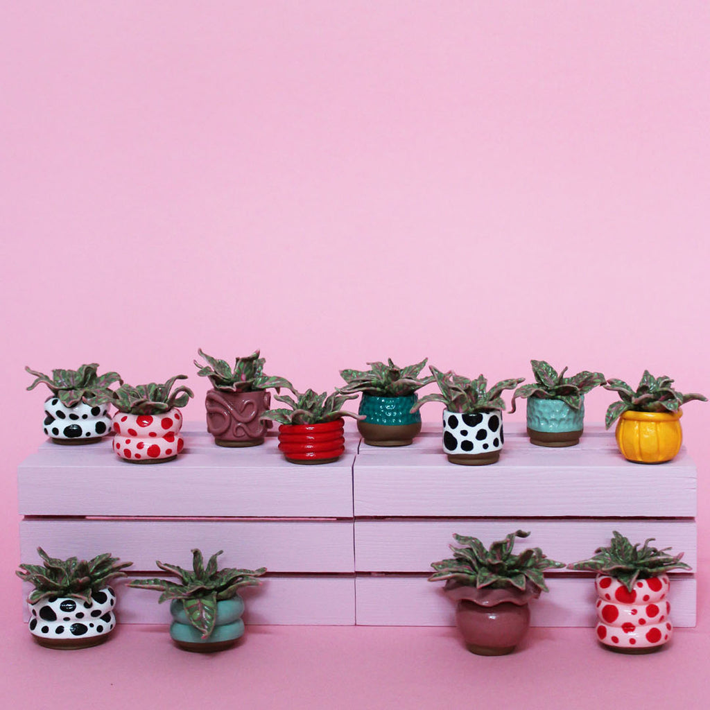 Miniature Plant