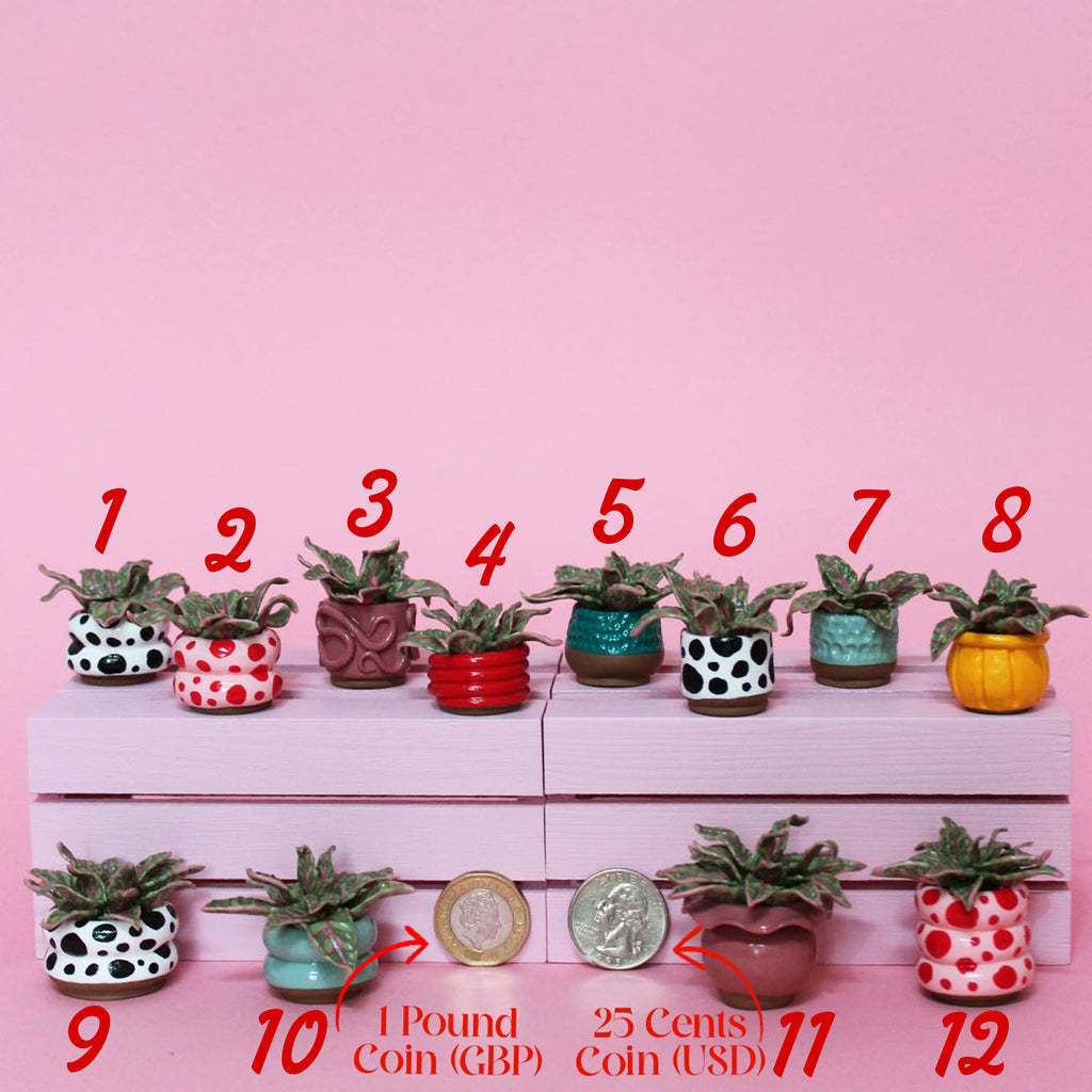 Miniature Plant