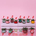 Miniature Plant