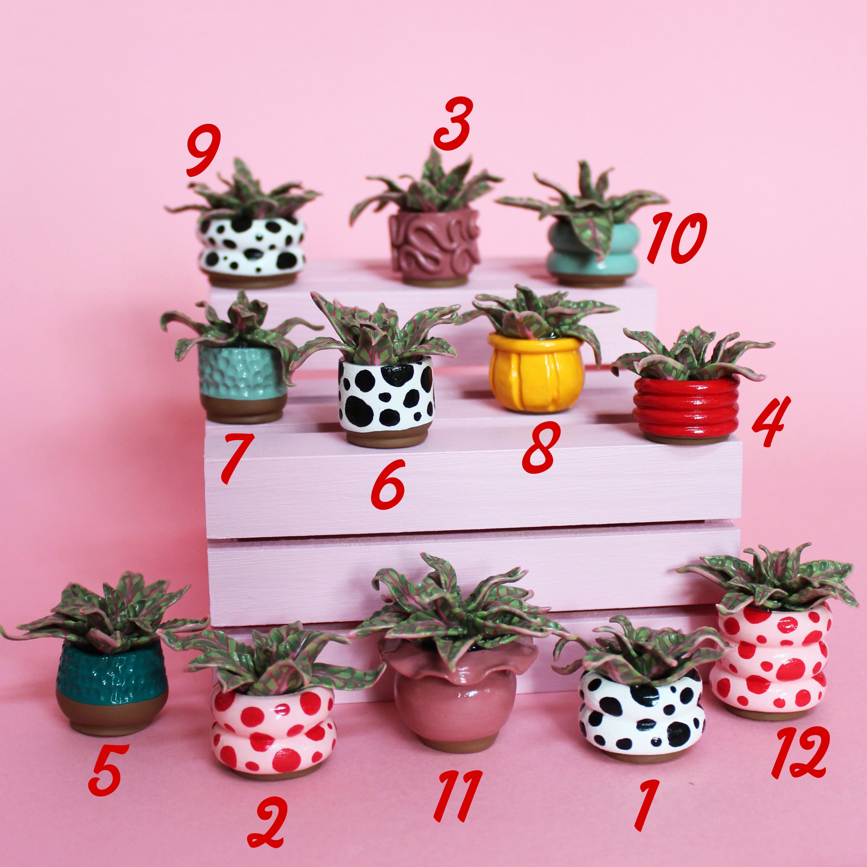 Miniature Plant
