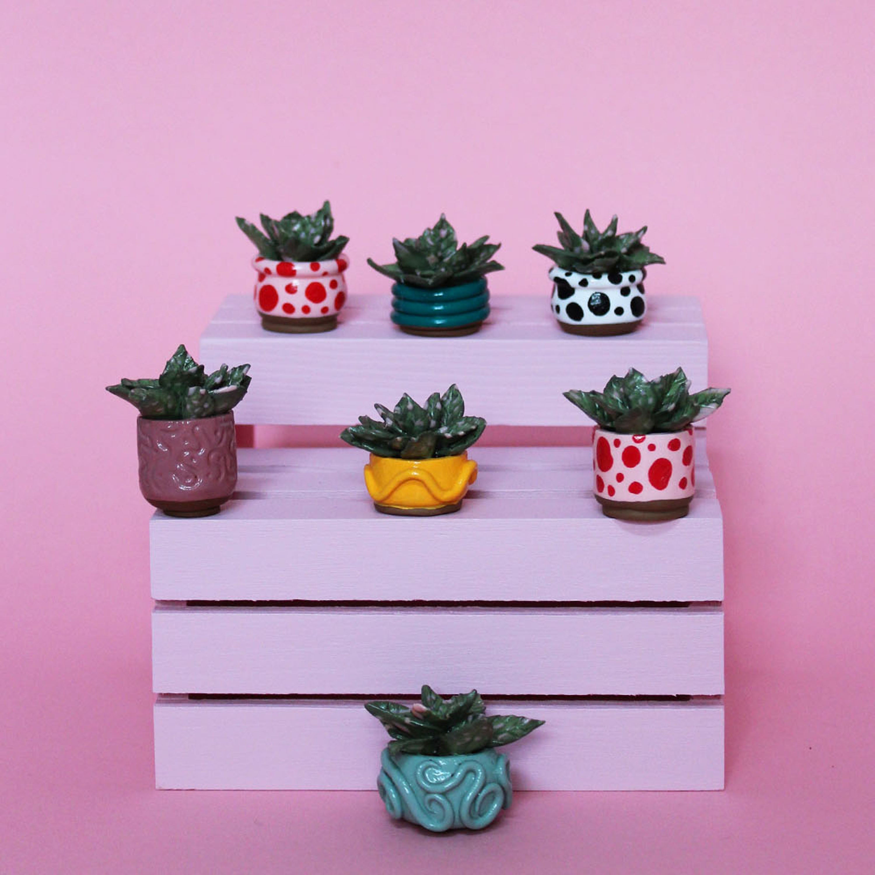 Miniature Plant