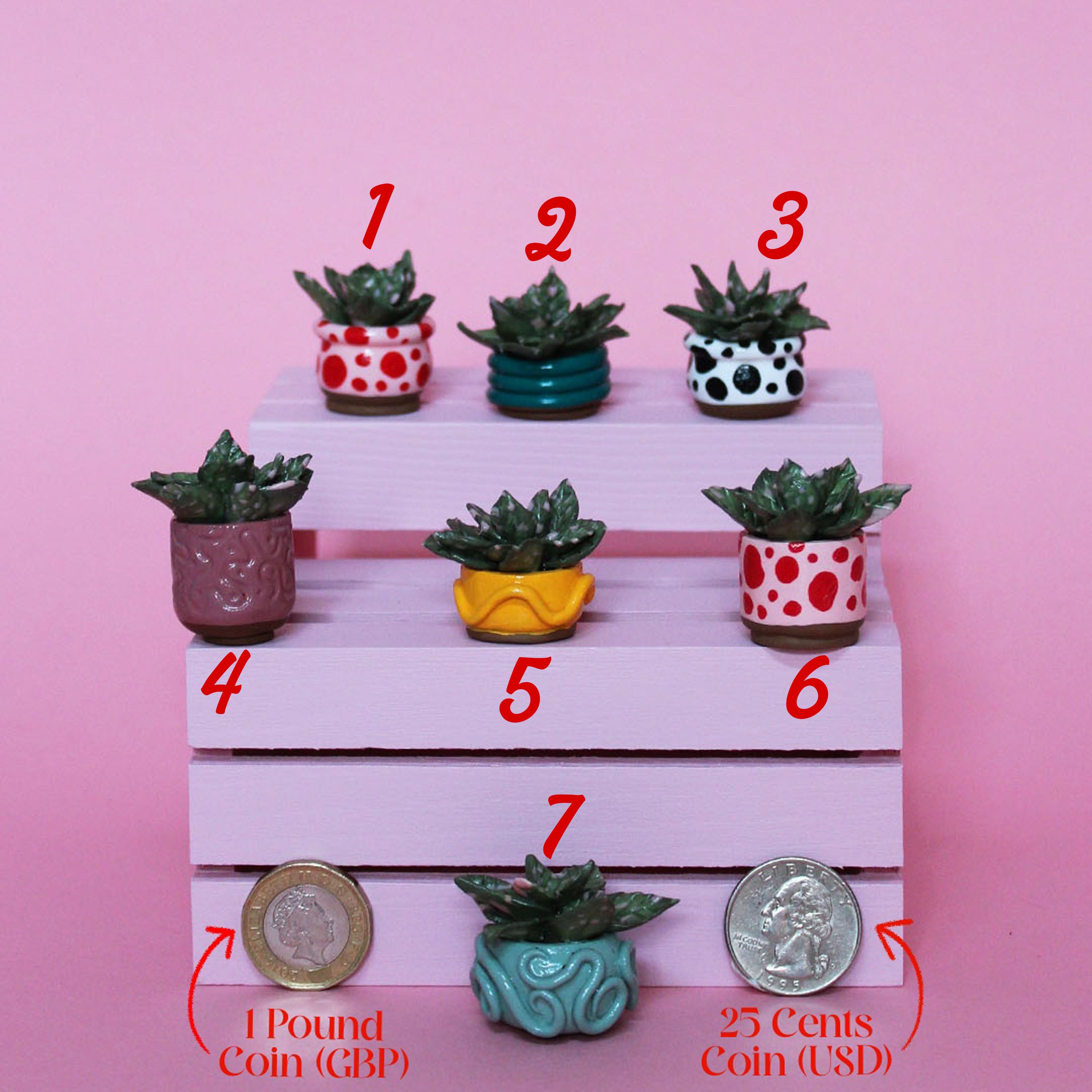 Miniature Plant