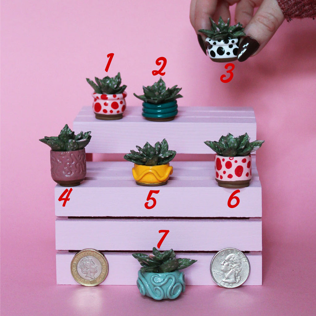 Miniature Plant