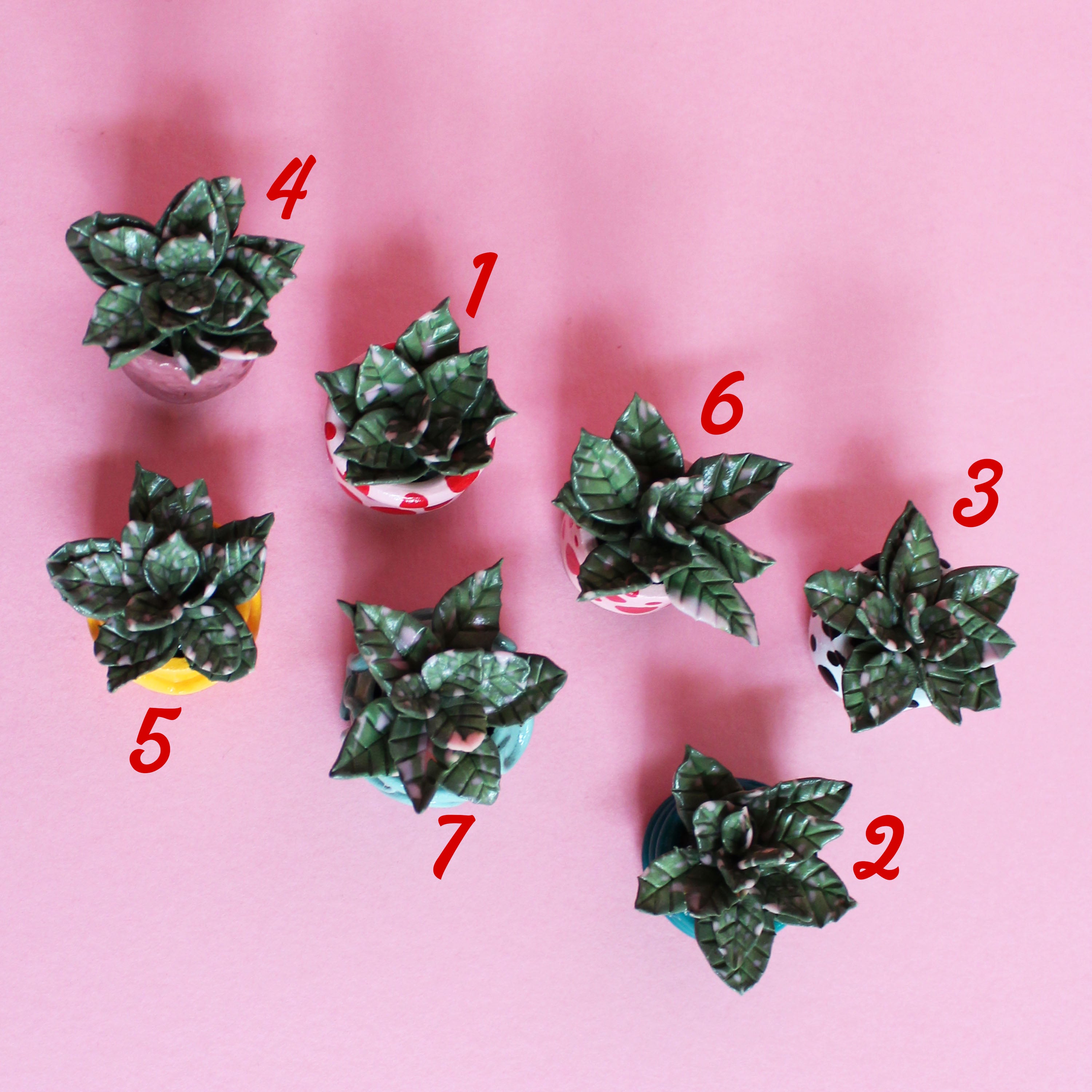 Miniature Plant