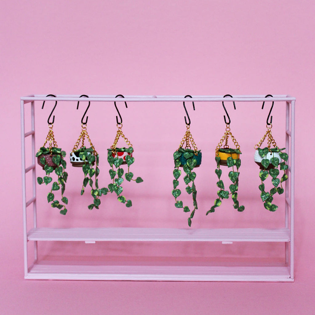 Miniature Hanging Plant
