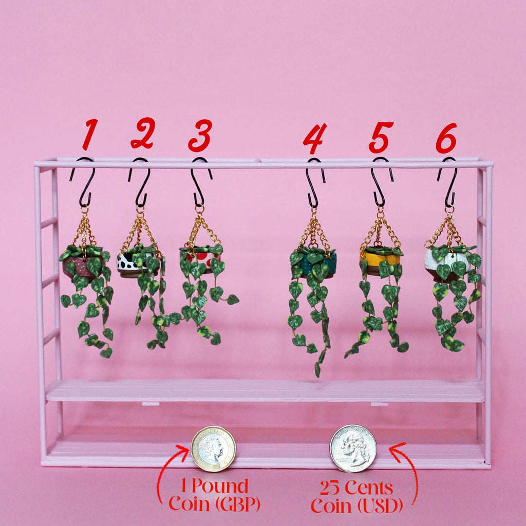 Miniature Hanging Plant